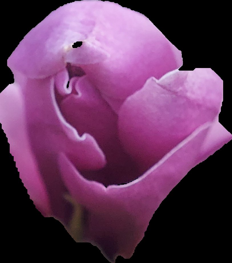 Pieterman tweet media