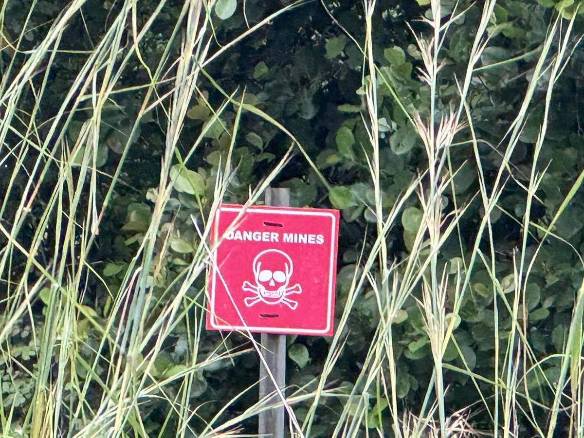 John Heard tweet media