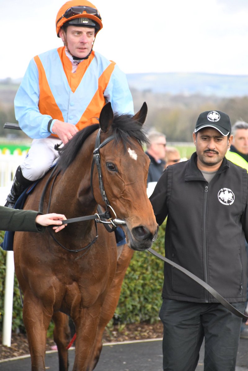 PCequinephotography tweet media