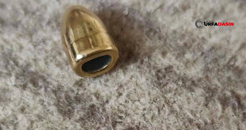 Urfadasın tweet media