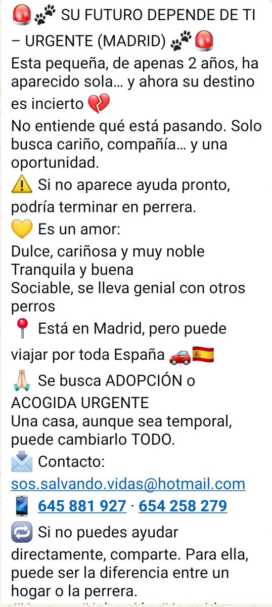 VidasSos's tweet image. 🚨SU FUTURO DEPENDE DE TÍ 🚨
#felizDomingo #22marzo #España #Madrid