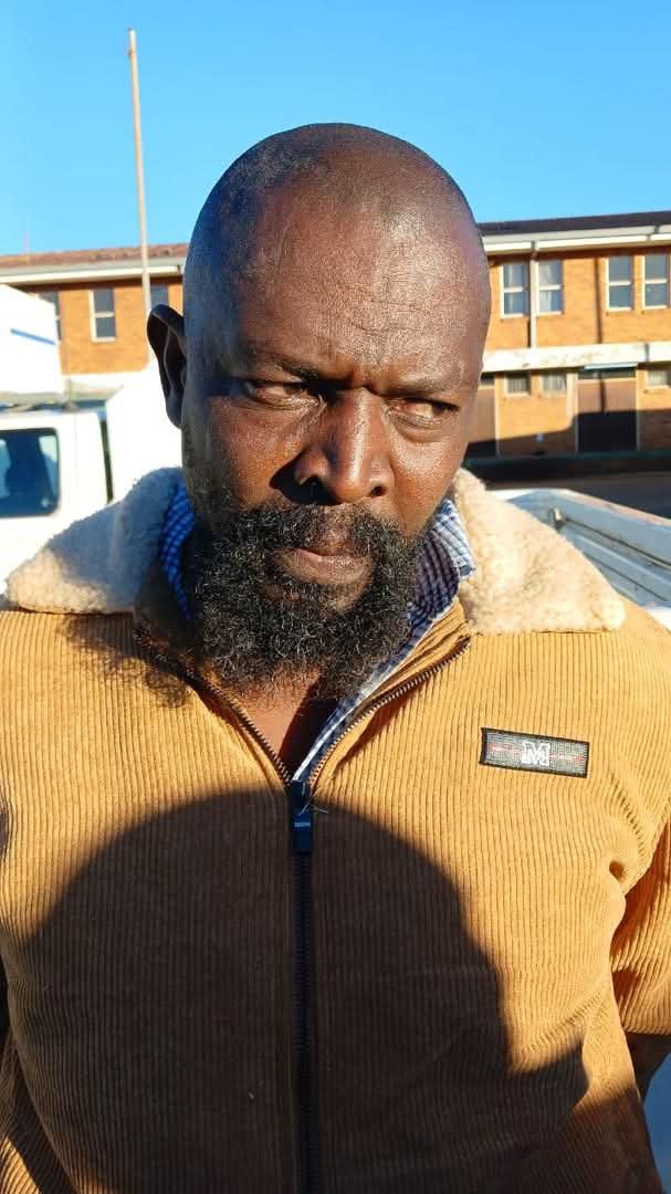 King Zebra263 tweet media