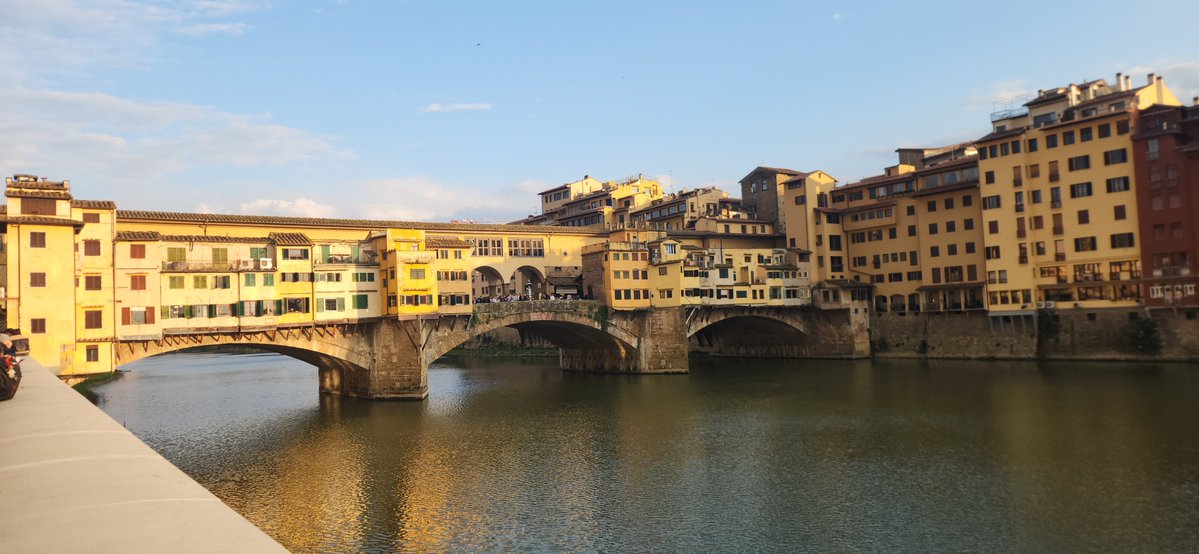 WVHorseandcricket tweet media