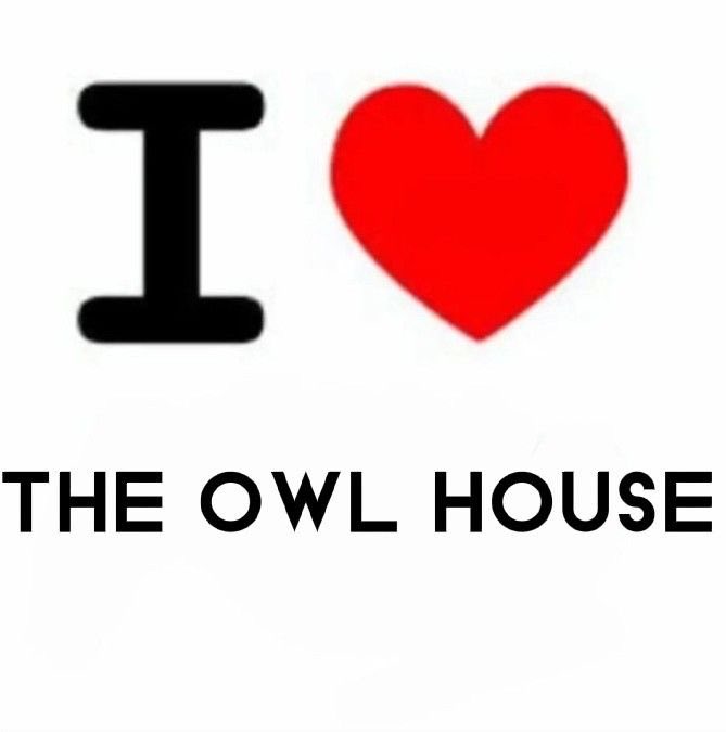 Acervo The Owl House tweet media
