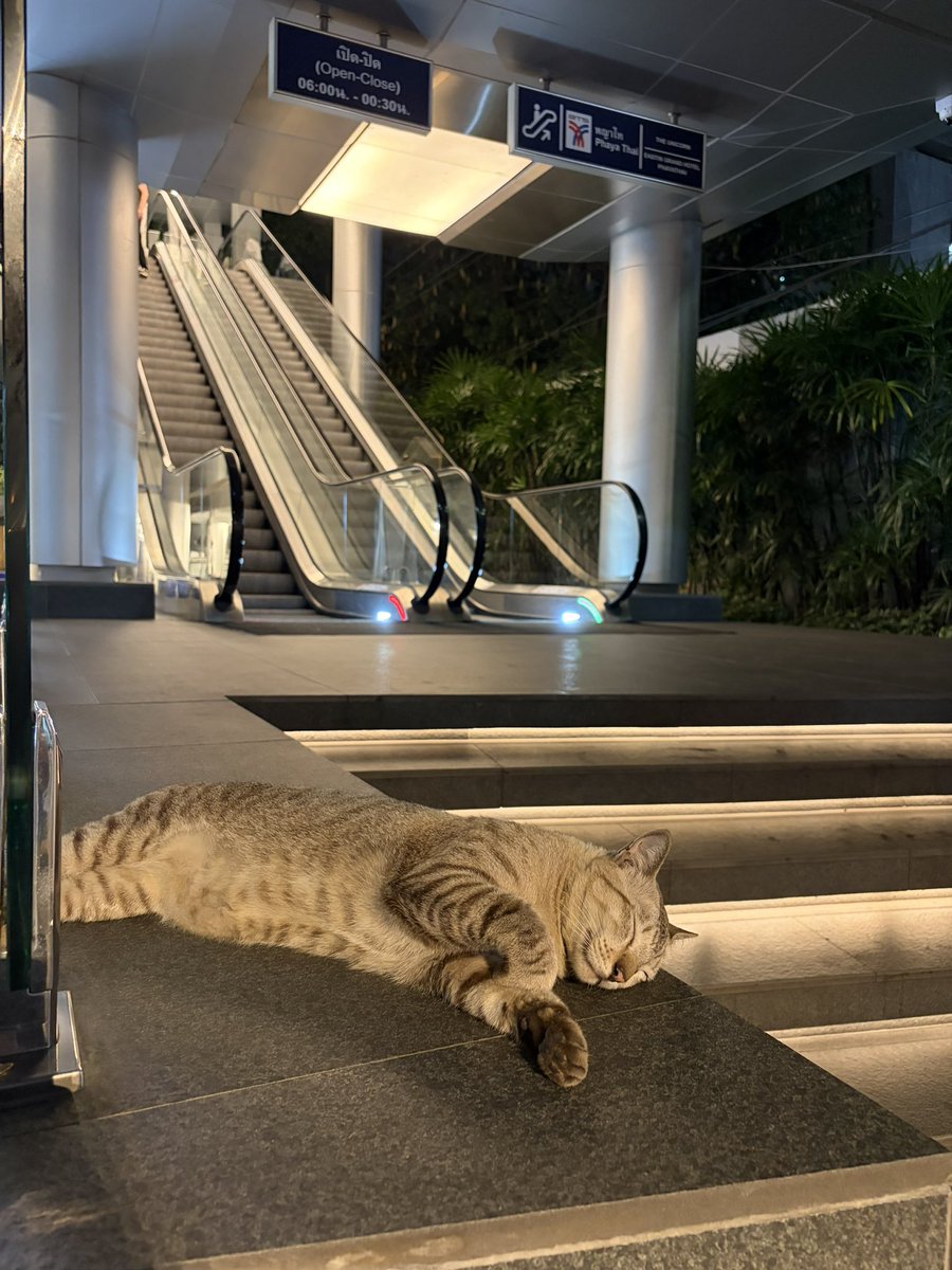 anness 🧷 tweet media