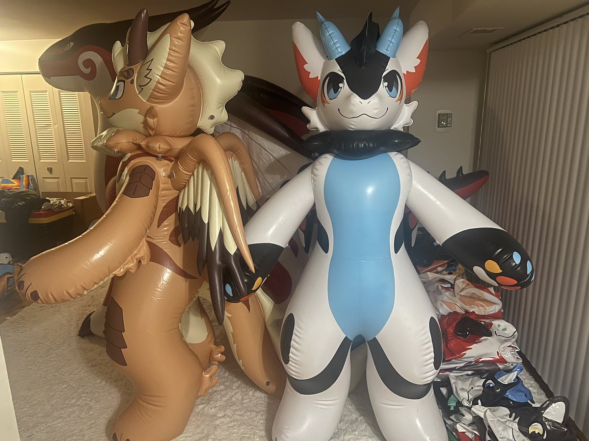 Kohana Coyote tweet media