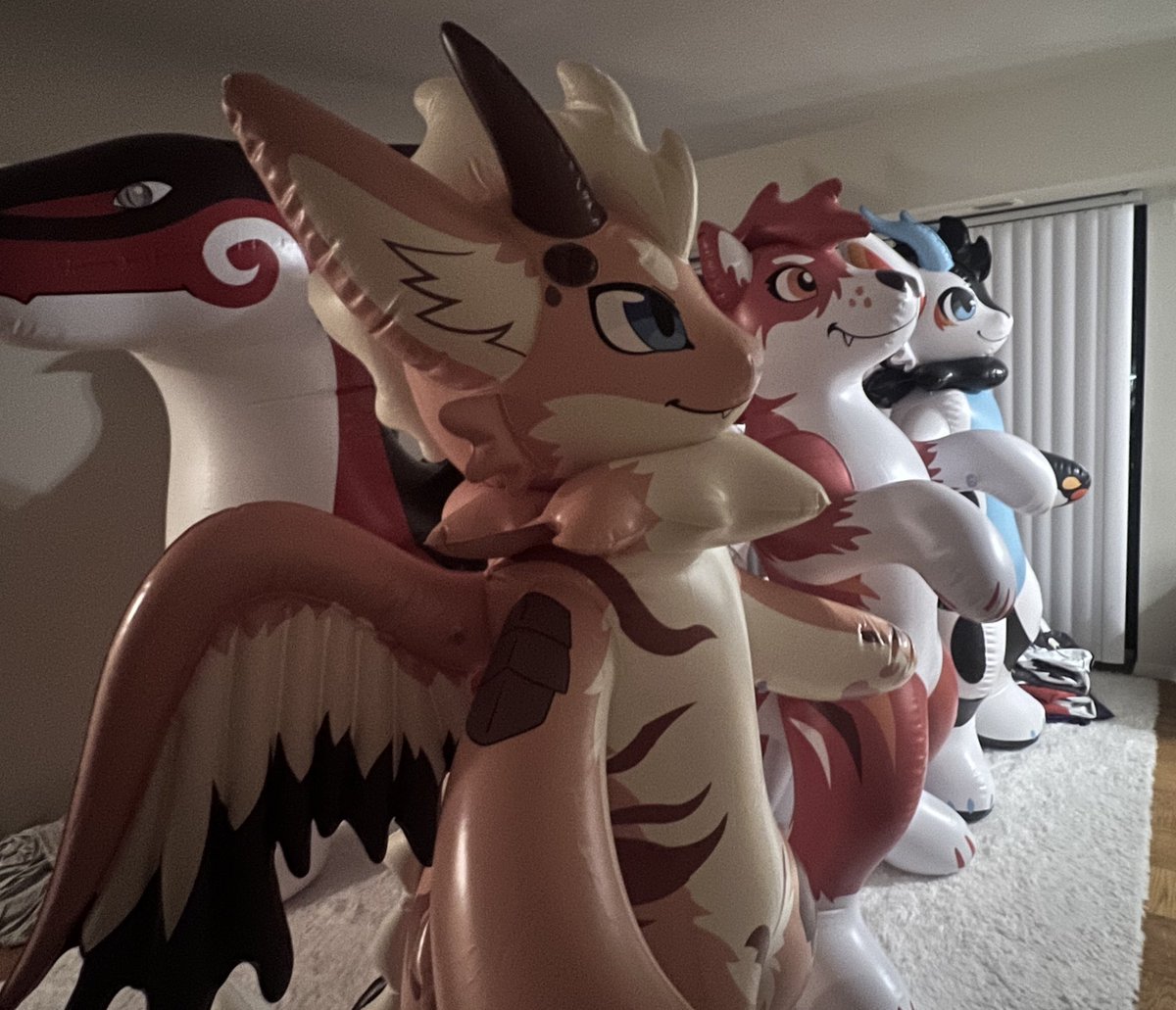 Kohana Coyote tweet media