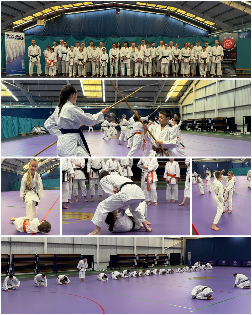 Shotokan Connect tweet media