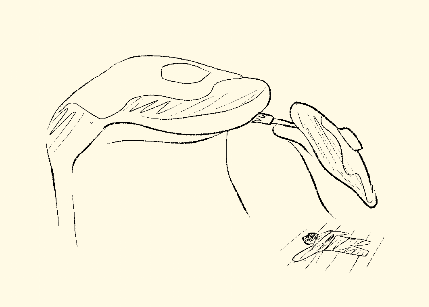 Razzmatazz tweet media