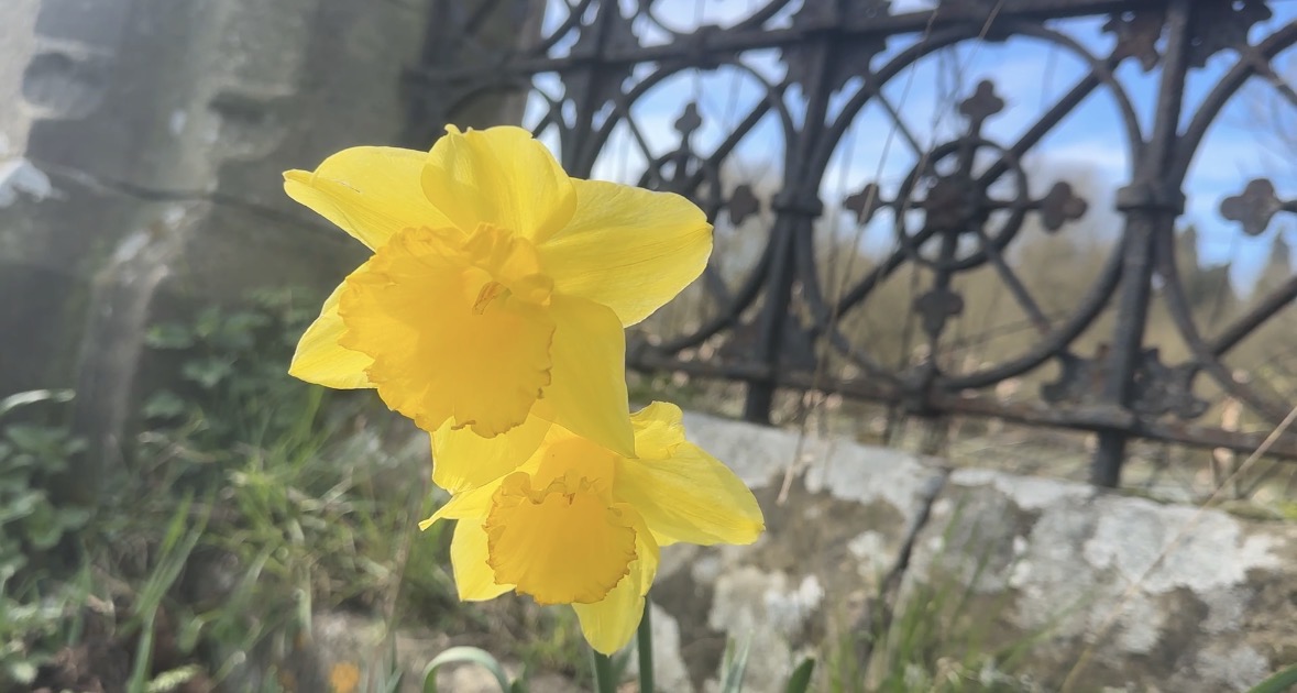 David Whitlock tweet media