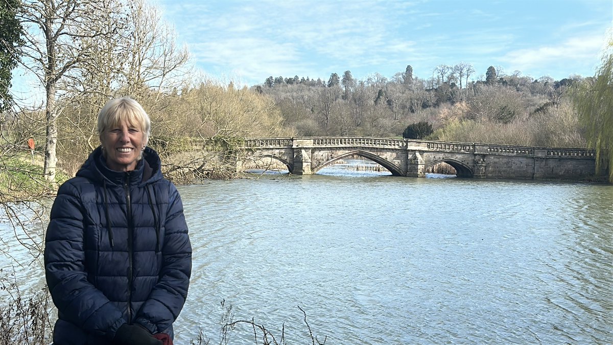 David Whitlock tweet media