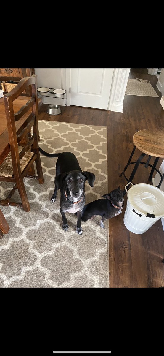 Vespasian tweet media