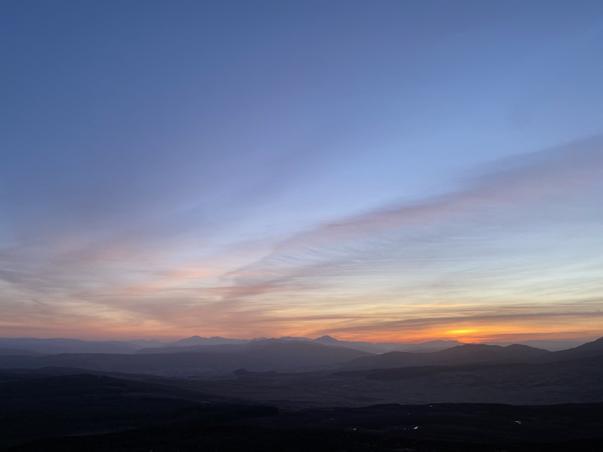 Hazel Strachan tweet media