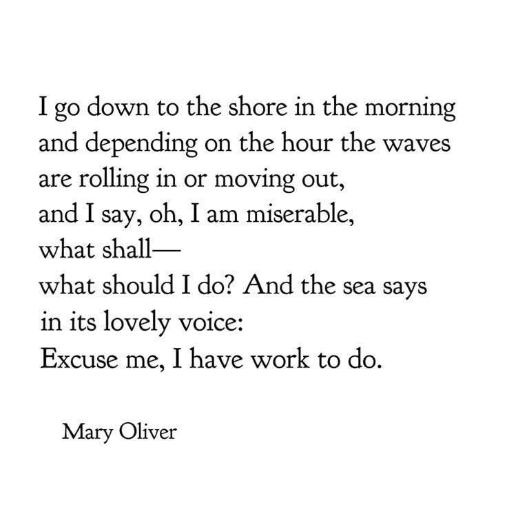 juls is seeing bts tweet media