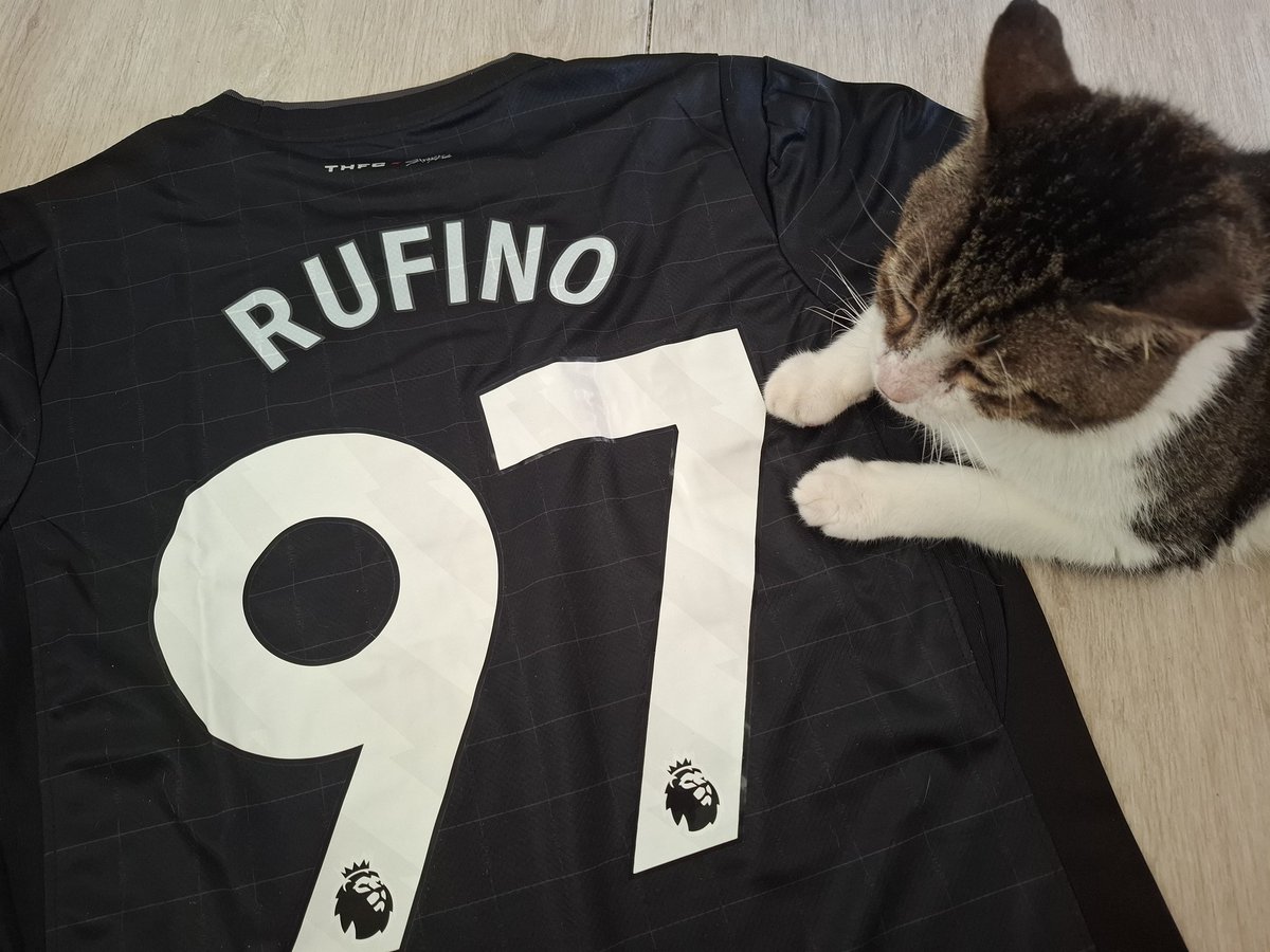 feedback atrasado mas positivissimo pra <a href="/hwangcrf/">tr¡z • the sun from another star</a> pela ceg das camisas de tottenham (gato não veio de brinde). triz é muito pontual nas informações e organizada, então muuuuito obrigada!! ❤️