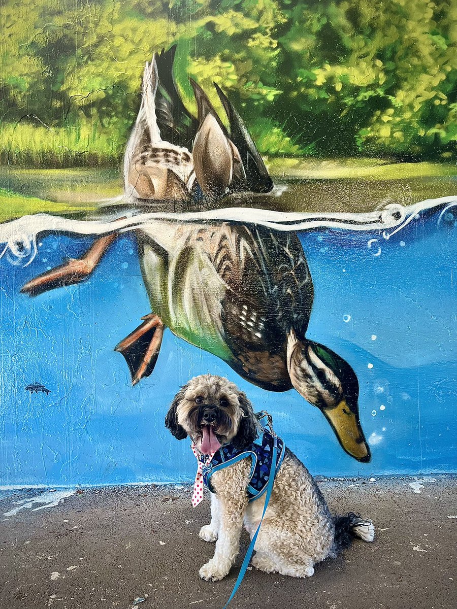 Malcolm & Baby Dog tweet media