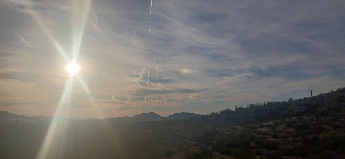 ChoppergirlMT tweet media