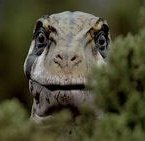 Volkian aka Arsonian Knight tweet media