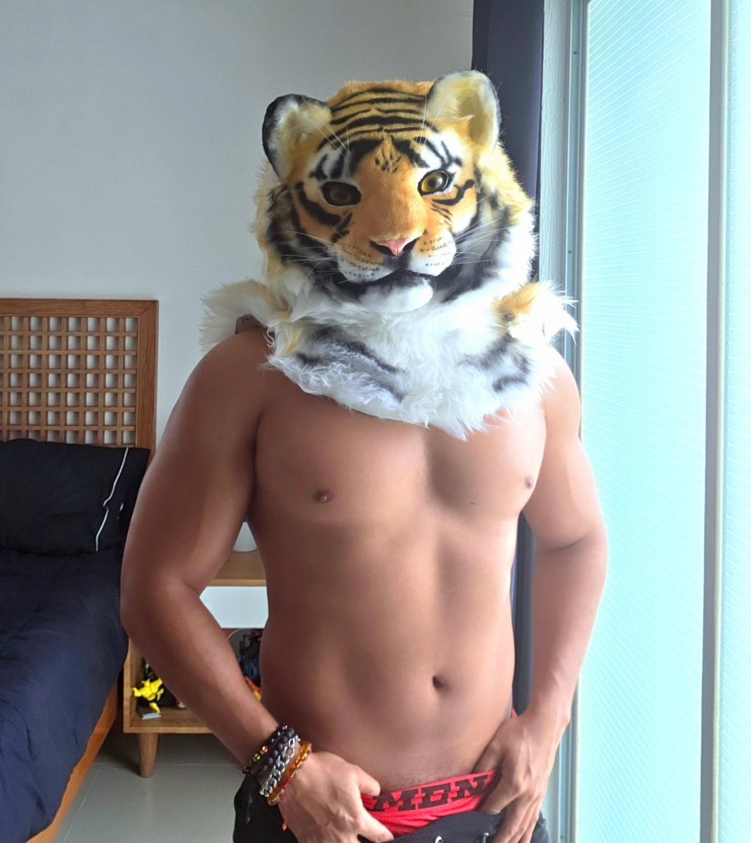 Señor León 🦁 tweet media