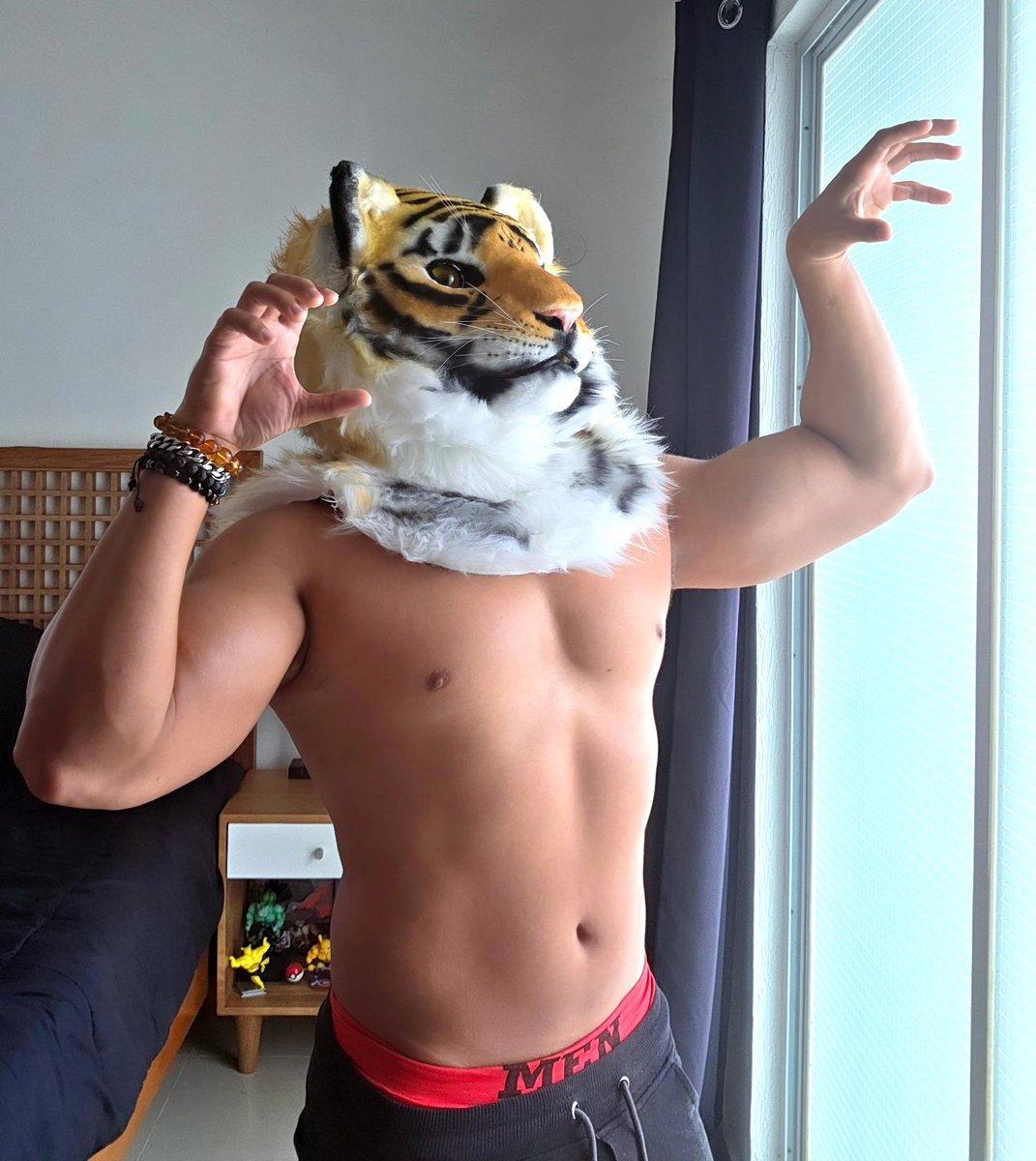 Señor León 🦁 tweet media