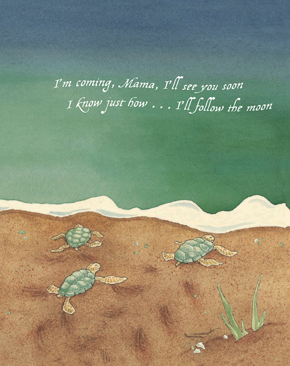 stephanietara's tweet image. 🌕SPARKLY MOONLIGHT on the waves!🌕

📚 Amazon.com/dp/0989433404

#GreenSeaTurtle #SaveTurtles #SeaTurtleConservation #SaveTheTurtles #SeaTurtleRescue #TurtleRescue #SaveOurOcean #SundayVibes #motherhood #Moms #kids #toddlers #babies #childrensbooks #kidlit #kidlitart #seaturtles