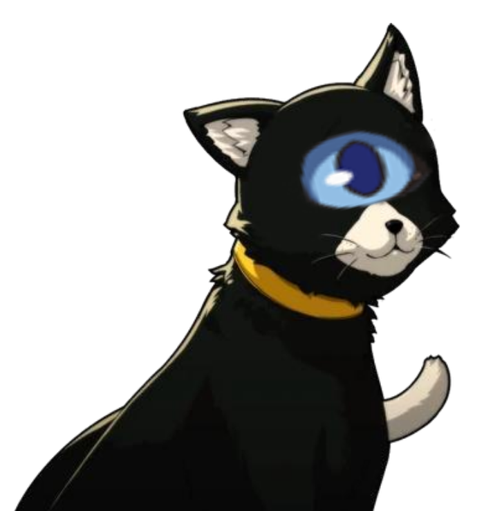 📺ellen z tweet media