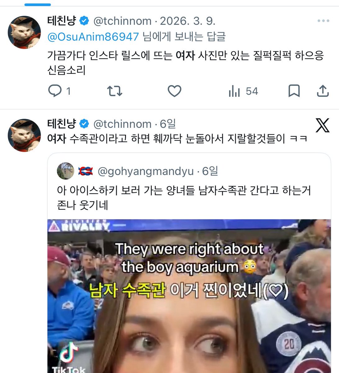 냐옹이 tweet media