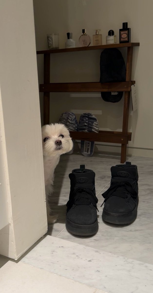 빵사송🍞 tweet media