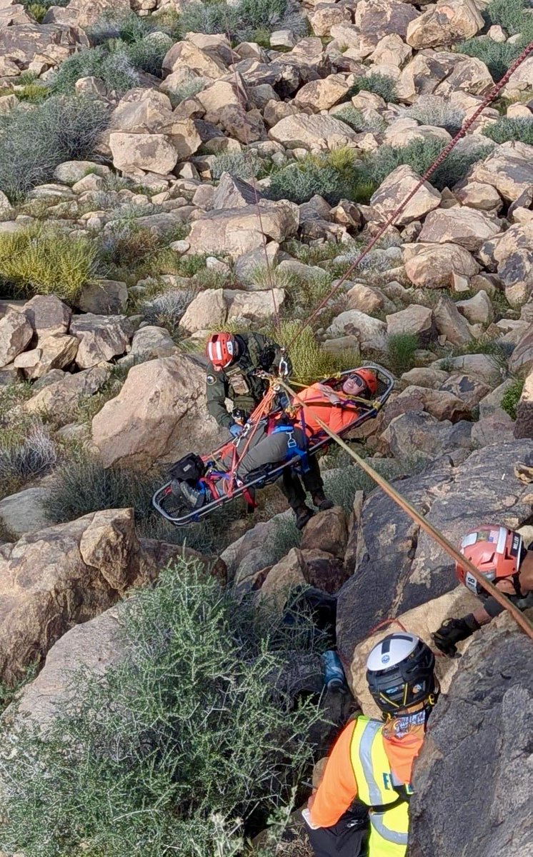 Malibu Search Rescue tweet media
