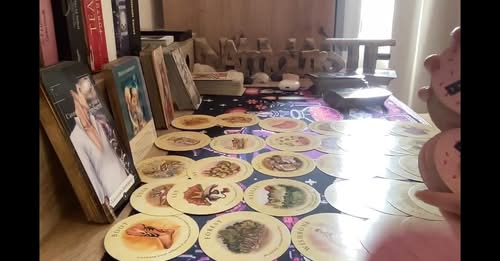 LASKA SANDY DAWN ALEX PASCALE PADLO ALPHA. A. tweet media