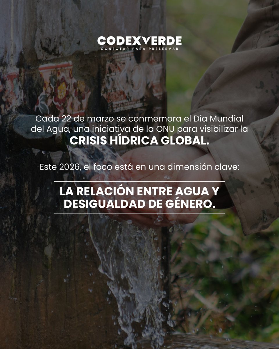 Codexverde tweet media