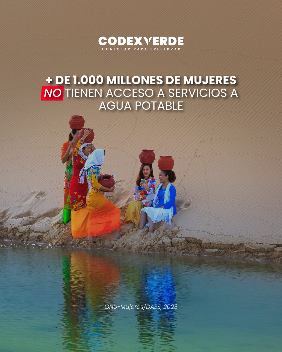 Codexverde tweet media