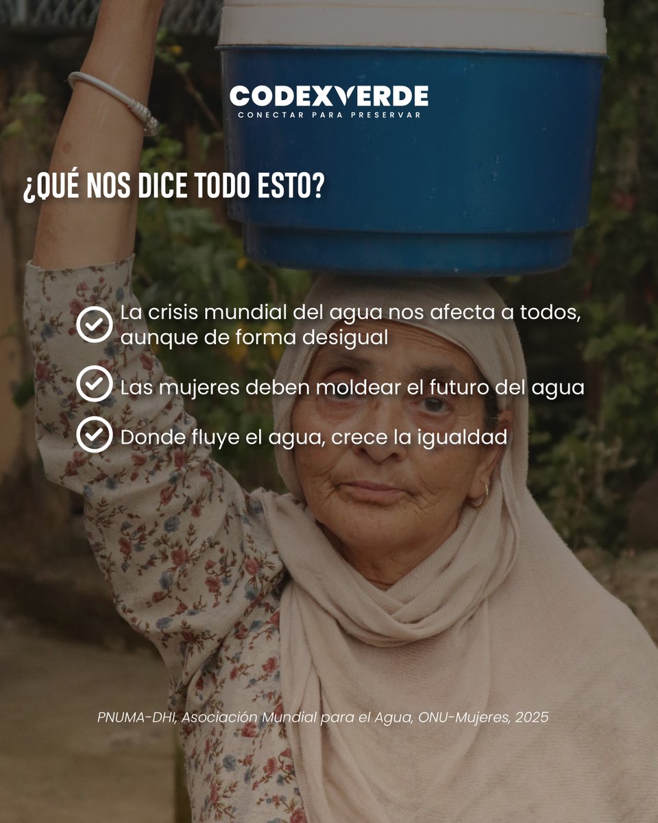 Codexverde tweet media