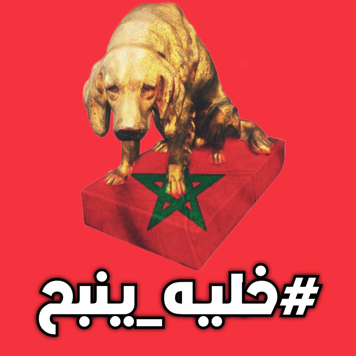 الجزا ✍️ئري❤️ tweet media