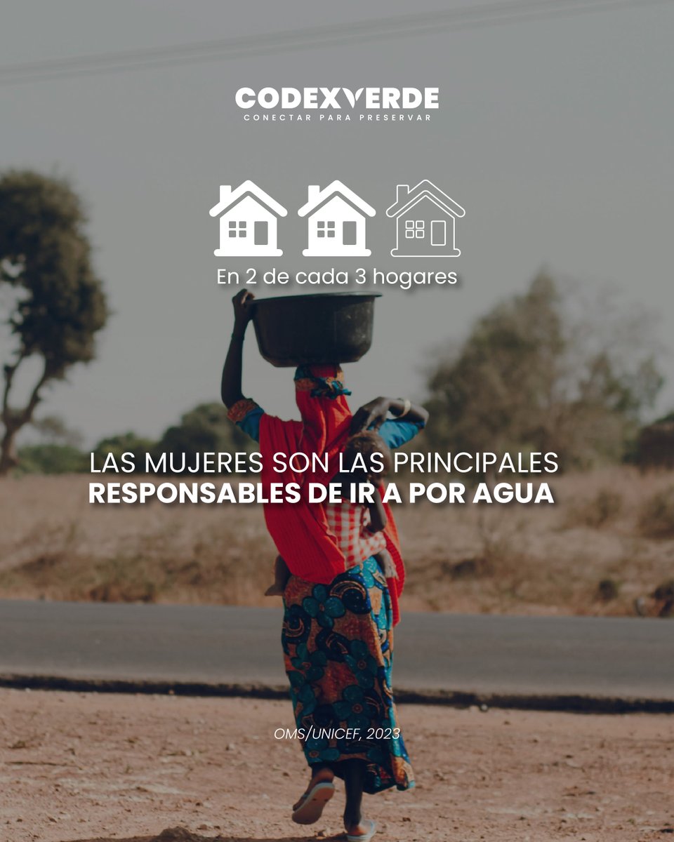 Codexverde tweet media