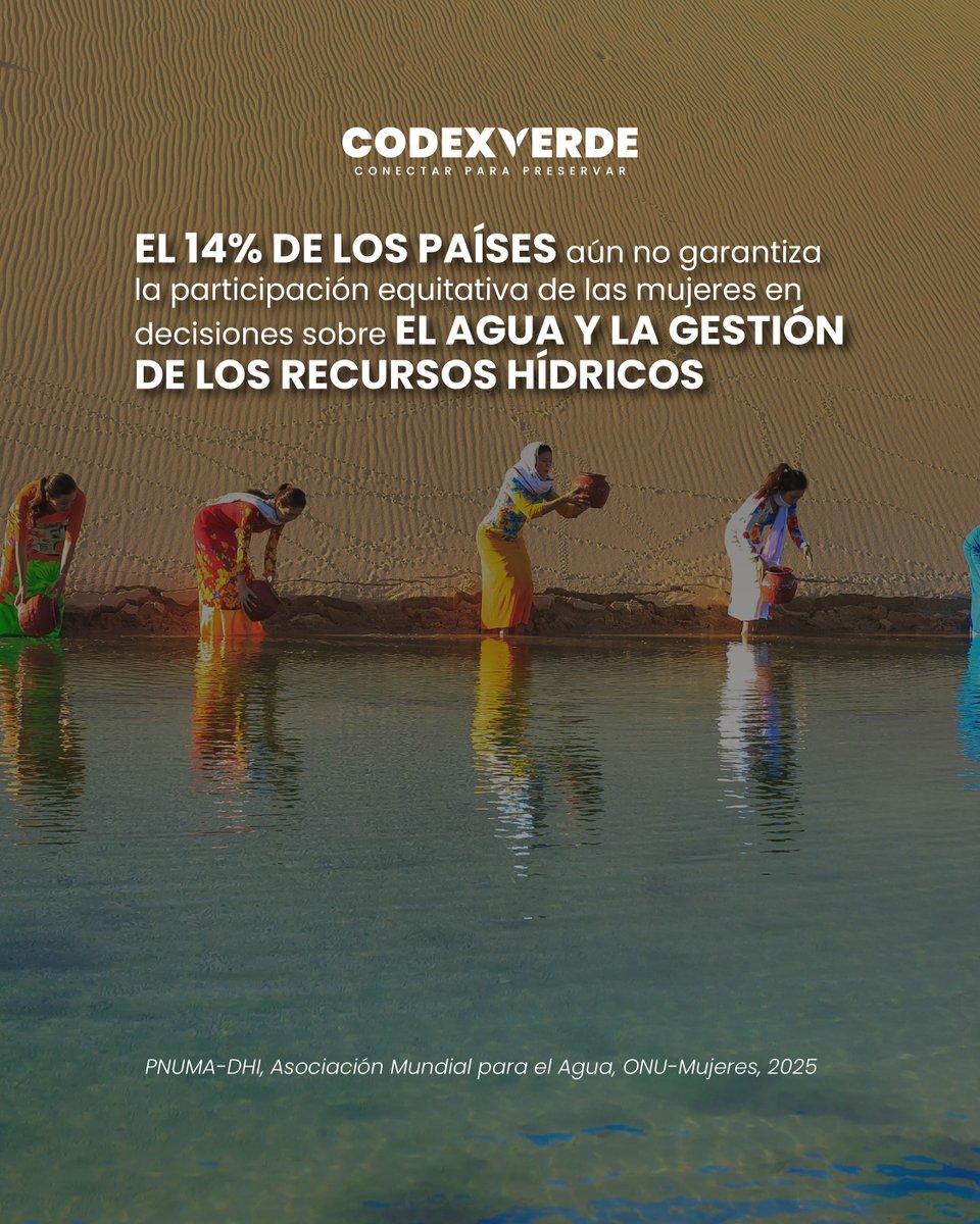 Codexverde tweet media