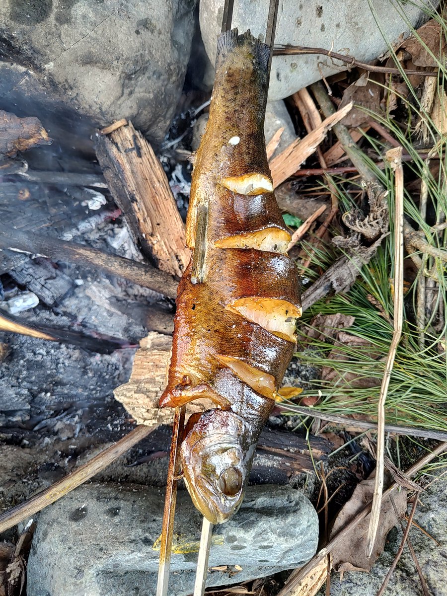 Kandur 🇵🇸 tweet media