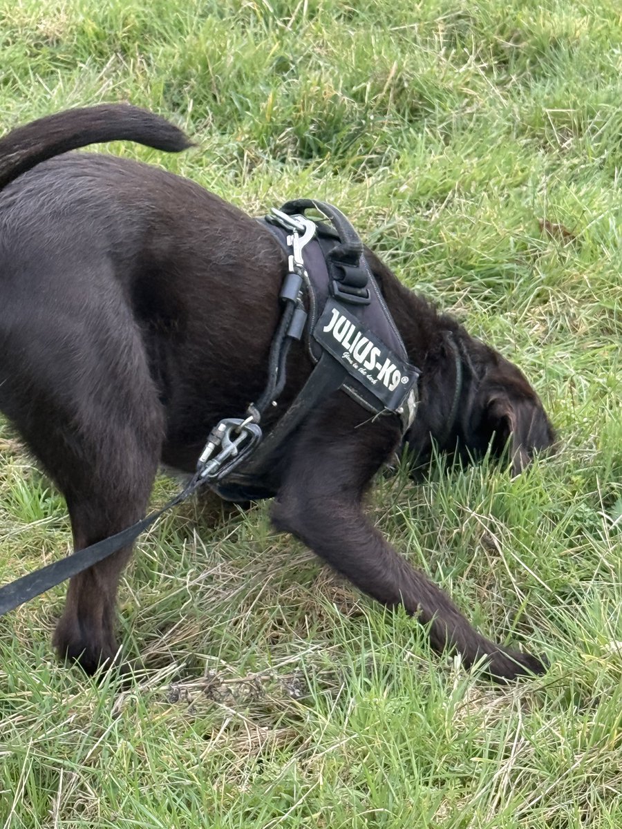 Jon Ashman tweet media