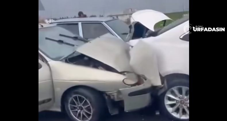 Urfadasın tweet media