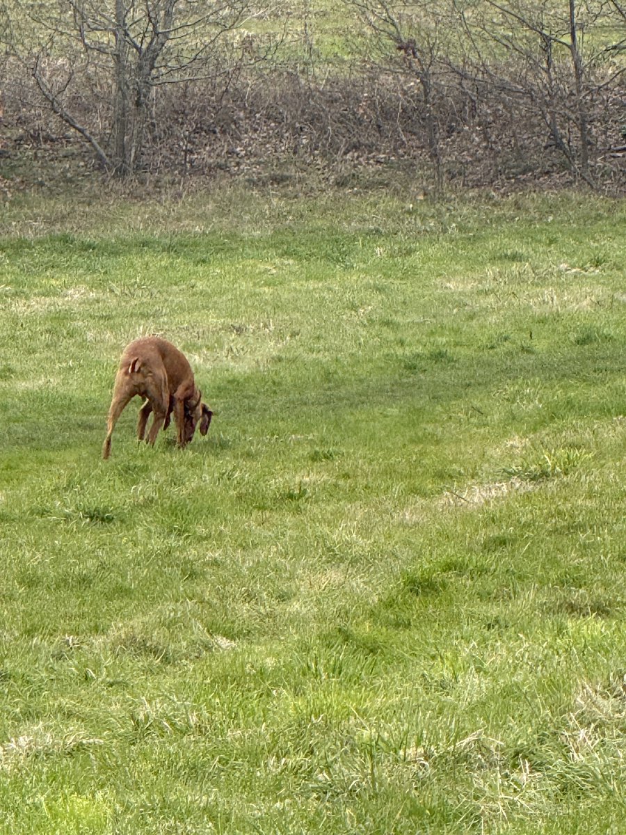 Jon Ashman tweet media