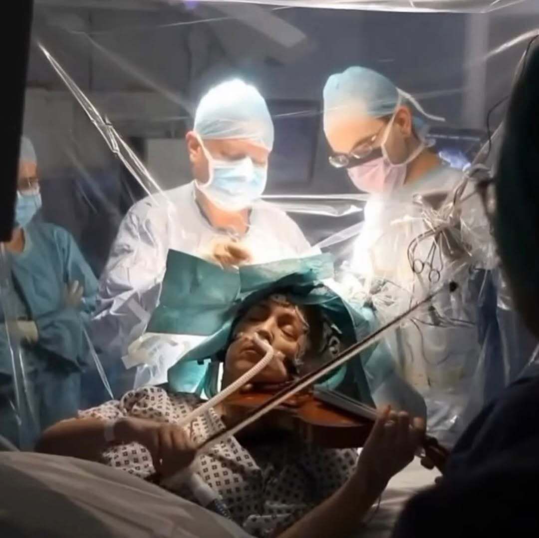 ARTIFAXING tweet media