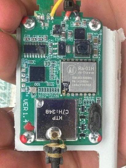 Darja Stomatova tweet media