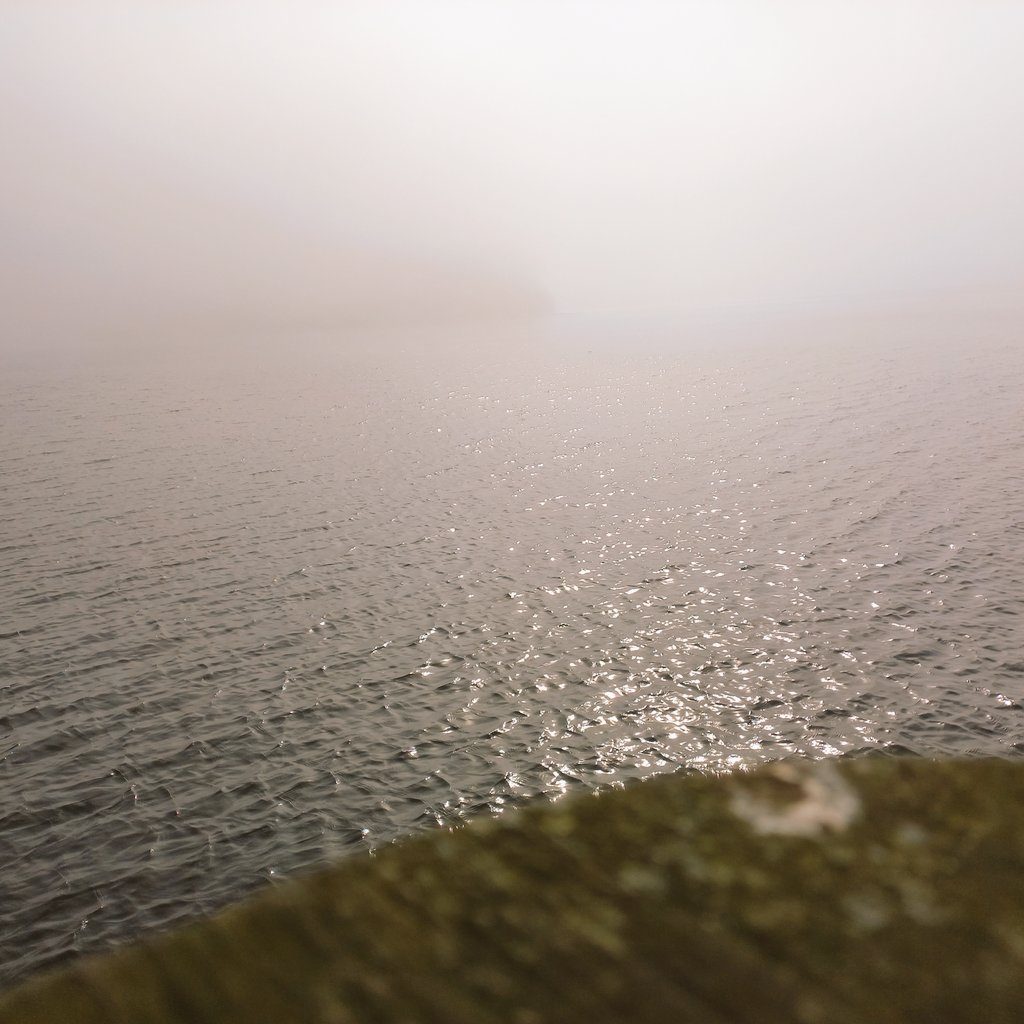 Sweet northern summer child tweet media