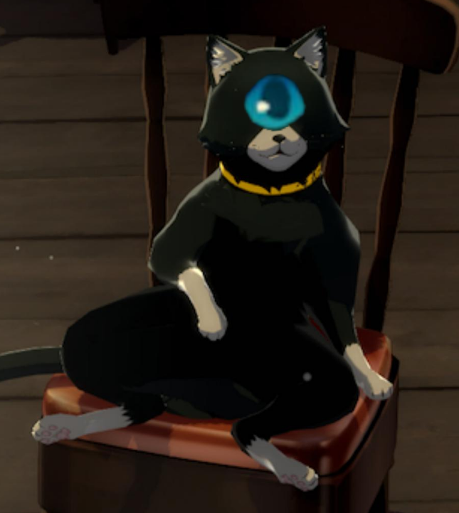 📺ellen z tweet media