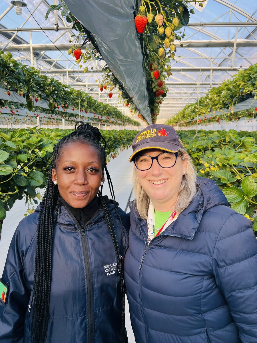 Maanda Sianga tweet media