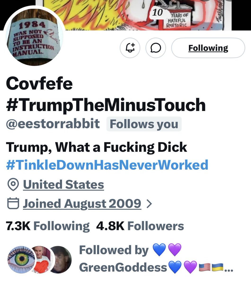 Turquoise Cat tweet media