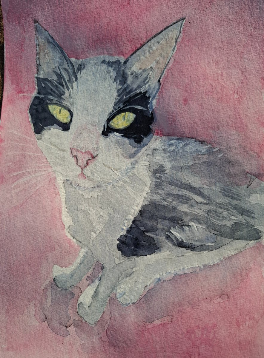 larremendy's tweet photo. 它叫吉尼斯
#水彩画 #watercolor https://t.co/0a2pRGVQCf