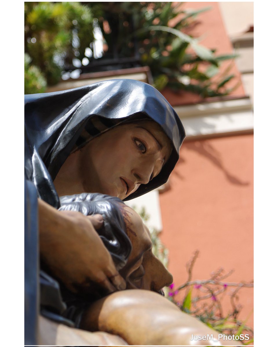 JoseM_PhotoSS tweet media