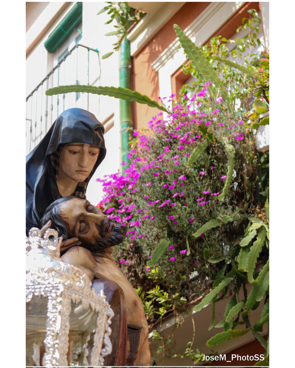 JoseM_PhotoSS tweet media