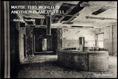 Addison Lee Wainscott tweet media